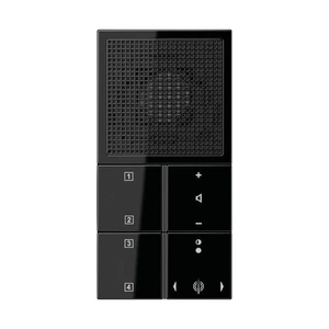 Изображение Радиоприемник без рамки LS plus черное стекло RANLS914SW Jung