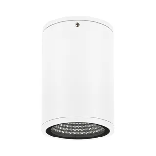 Светильник LGD-FORMA-SURFACE-R90-12W Day4000 (WH, 44 deg, 230V) (Arlight, IP54 Металл, 3 года) - Изображение